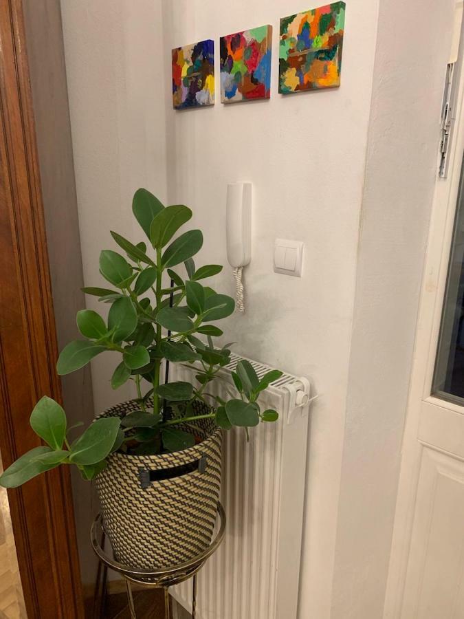 Charming Studio Apartment In The Heart Of The Jewish District! Krakau Buitenkant foto